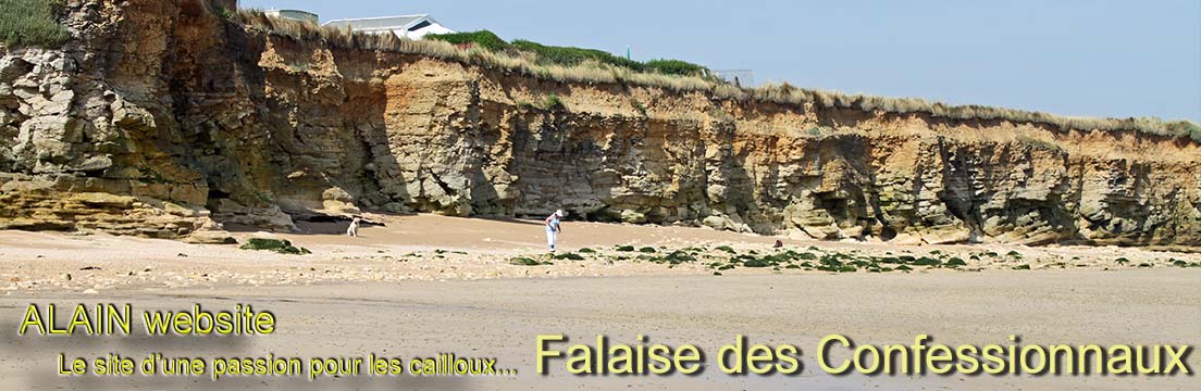 falaises des vaches noires