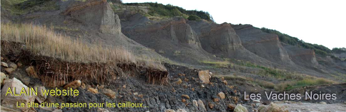 falaises des vaches noires